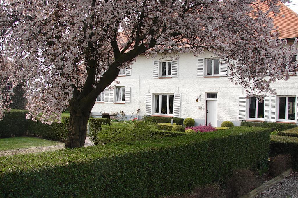 Holiday Home De Colve Brügge Exterior foto